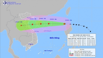 Tin bão khẩn cấp: Bão số 8 di chuyển nhanh, hướng vào Thanh Hóa-Quảng Bình