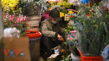 Tiểu thương 'xót ruột' nhìn chợ hoa lớn nhất Hà Nội vắng khách trước ngày 20/10