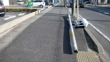 Nước tiểu chó làm cột đèn giao thông Nhật đổ sập, giới chức 'đau đầu'