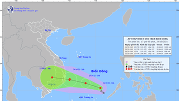 Vùng áp thấp trên Biển Đông đã mạnh lên thành áp thấp nhiệt đới