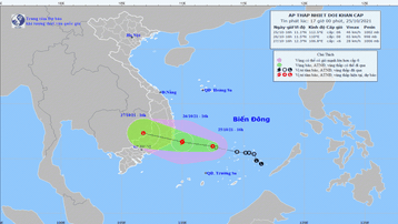 Áp thấp nhiệt đới trên Biển Đông cách Ninh Thuận khoảng 370km
