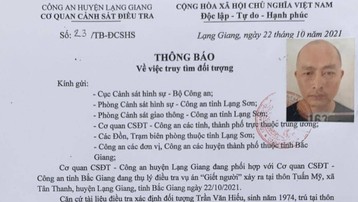 Kẻ giết 3 người trong gia đình ở Bắc Giang khai nhận toàn bộ hành vi phạm tội