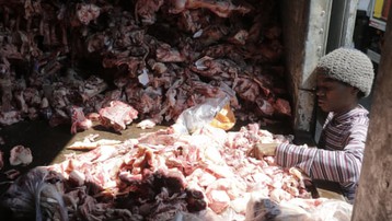 Bức ảnh người nghèo bới xác động vật tìm thức ăn gây chấn động Brazil