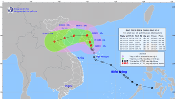 Bão số 7 giật cấp 11, gây mưa lớn từ Quảng Bình đến Quảng Ngãi và Kon Tum