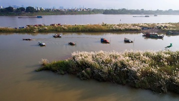 Những bãi bồi sông Hồng hoang sơ vắng dấu chân người ở Hà Nội