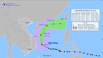 Tin bão khẩn cấp: Bão số 9 giật tên cấp 17 gây mưa lớn từ Thừa Thiên Huế đến Phú Yên