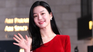 Dàn sao hạng A Hàn Quốc tại lễ trao giải Rồng xanh