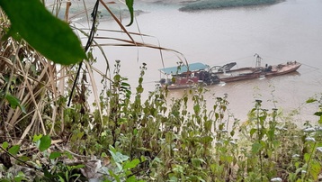 Yên Bái: Có hay không việc khai thác cát trái phép tại huyện Văn Yên?