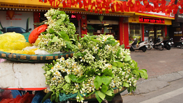 Chán mai, ngán đào, dân Hà Thành 'đổi gió' mua hoa quê thơm nức về bày