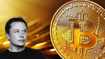 'Hiệu ứng Elon Musk' phơi bày rủi ro của Bitcoin