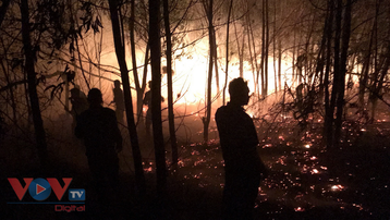 Hơn 100 người dập tắt đám cháy rừng trồng ven biển Quảng Nam