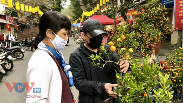 Chợ hoa Hàng Lược vắng bóng du khách ngày cận Tết