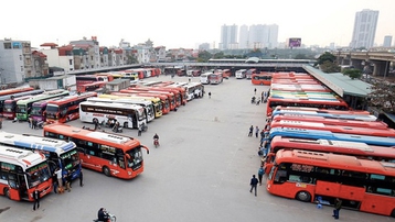 Quảng Ninh dừng hoạt động vận tải hành khách liên tỉnh từ 6 giờ ngày 8/2