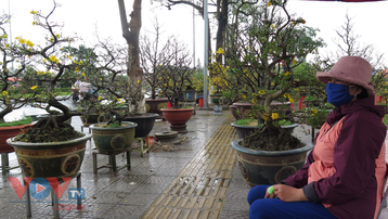 Đà Nẵng: Trời mưa, chợ hoa Tết càng đìu hiu