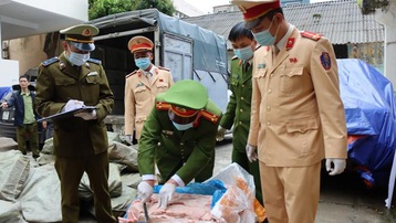 Phát hiện hàng tấn nầm lợn bốc mùi hôi thối đang trên đường tuồn vào nội địa