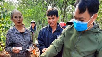 Một phụ nữ bị chém tử vong khi đi họp thôn về ở Đắk Nông
