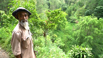 Indonesia: Chiến binh sinh thái 69 tuổi vắt kiệt sức lực và tài sản để phủ xanh đồi trọc