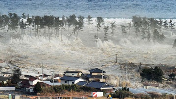 Tìm được hài cốt người mất tích trong trận sóng thần Nhật Bản năm 2011