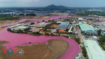 Bà Rịa-Vũng Tàu: Nước thải của doanh nghiệp là nguyên nhân khiến nước cống chuyển màu hồng rực
