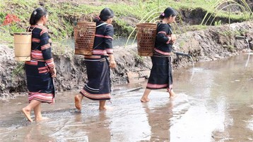 Lễ cúng Giọt nước - nét đẹp văn hóa của dân tộc Jrai ở Tây Nguyên