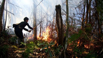 Dập tắt đám cháy rừng tại Văn Bàn - Lào Cai