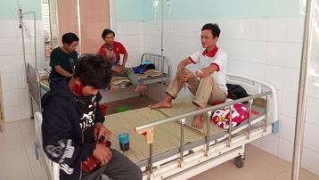 5 người ở huyện miền núi Nam Trà My bị ngộ độc do ăn nấm