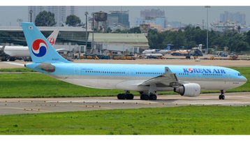 Máy bay không thể cất cánh vì đàn chim én 'tung tăng' ở sân bay Tân Sơn Nhất