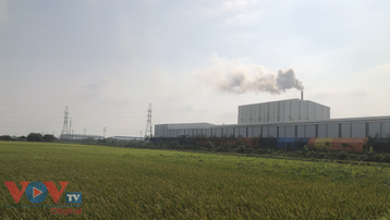 Tam Nông (Phú Thọ): Khói nhà máy gạch khiến người dân mất mùa?