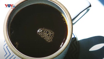 BREW – Tuyệt đỉnh cà phê tại nhà