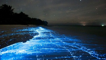 Bãi biển phát sáng trong đêm như dải ngân hà, nằm sát Việt Nam mà ít người biết