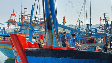 Bình Định: 1 ngư dân rơi xuống biển mất tích