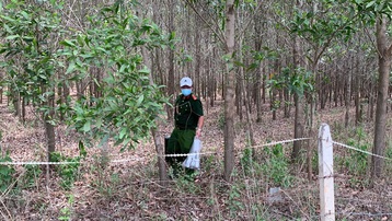 Phát hiện thi thể tại khu rừng tràm ở Bình Thuận