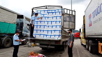 Ưu tiên, hỗ trợ tối đa xuất khẩu vải thiều sang Trung Quốc tại cửa khẩu Kim Thành