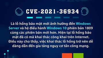 Cảnh báo nguy cơ tấn công mạng do lỗ hổng mới trong Windows Server 2019 và Windows 10