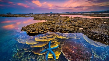 Hòn đảo xinh đẹp ở Phú Yên - nơi thỏa sức ngắm san hô mà không cần lặn biển