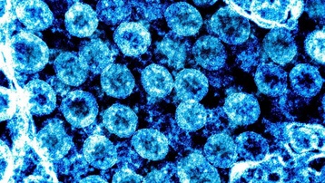Phát hiện quan trọng về virus SARS-CoV-2 giúp phát triển thuốc chữa Covid-19