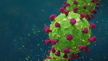 Tình báo Mỹ ra kết luận về nguồn gốc của virus SARS-CoV-2