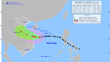 Tin bão khẩn cấp: Bão số 5 giật cấp 12 đang hướng vào Quảng Trị - Quảng Nam