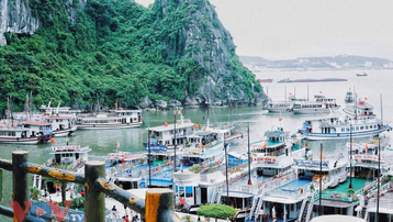 Quảng Ninh: Hạ Long lại được tắm biển từ ngày 19/9