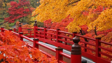 Công viên Yahiko mùa lá đỏ