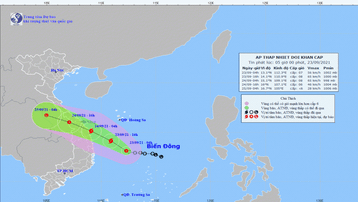 Áp thấp nhiệt đới ngoài khơi Phú Yên, Bình Định có thể mạnh lên thành bão trong 12 giờ tới
