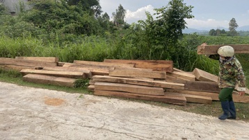Phát hiện 155 khúc gỗ không rõ nguồn gốc tại nhà nhân viên BQL rừng phòng hộ Sơn Hòa