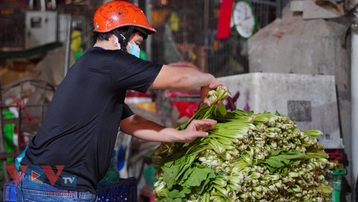 Hàng hóa nhộn nhịp ngày đầu mở lại điểm trung chuyển chợ Bình Điền TP.HCM
