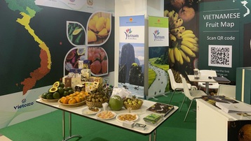 Trái cây Việt Nam hút khách tại Hội chợ quốc tế lớn ở Italia