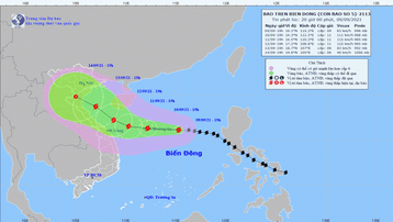 Tin bão trên biển Đông: Bão số 5 mạnh lên cấp 9, giật cấp 11