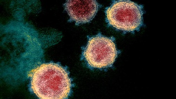 WHO giải thích cơ chế tiến hóa của virus SARS-CoV-2