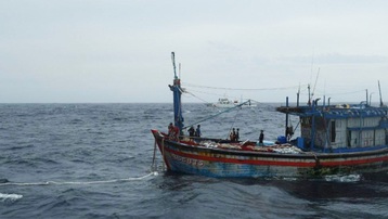 Bình Định: 2 thuyền viên rơi xuống biển mất tích