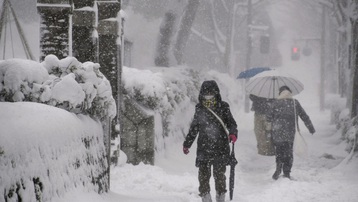 Nhật Bản: Tuyết vẫn rơi dày đặc, gần 100 người thương vong