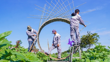 Chờ đón Vườn hoa hướng dương đậm chất Nam Bộ tại Van Phuc City