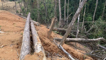 San ủi trái phép vườn quốc gia để làm đường ở Tây Nguyên: Kẽ hở lớn cho phá rừng